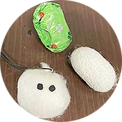カイコってすごい⁉カイコのふしぎを体験しよう！